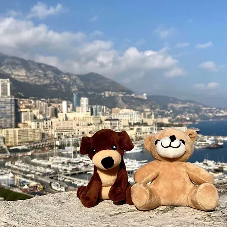 Otel Novotel Monte-carlo 3*